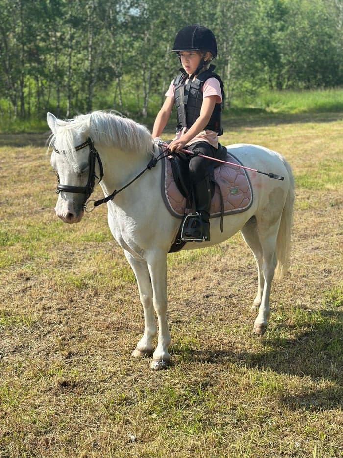 Media 1 of Bästa första ponnyn