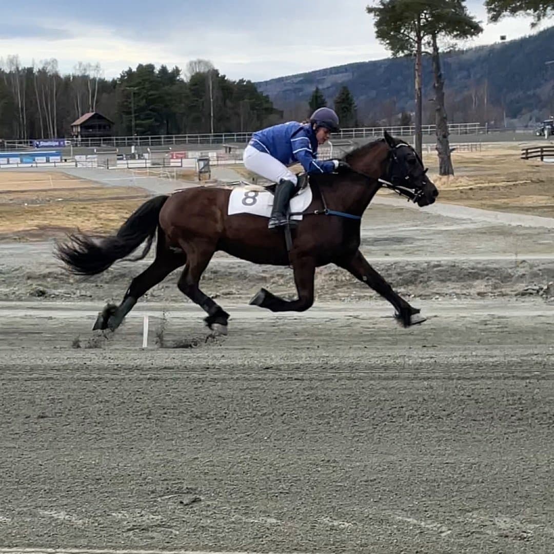 Bild 1 av stilig karl