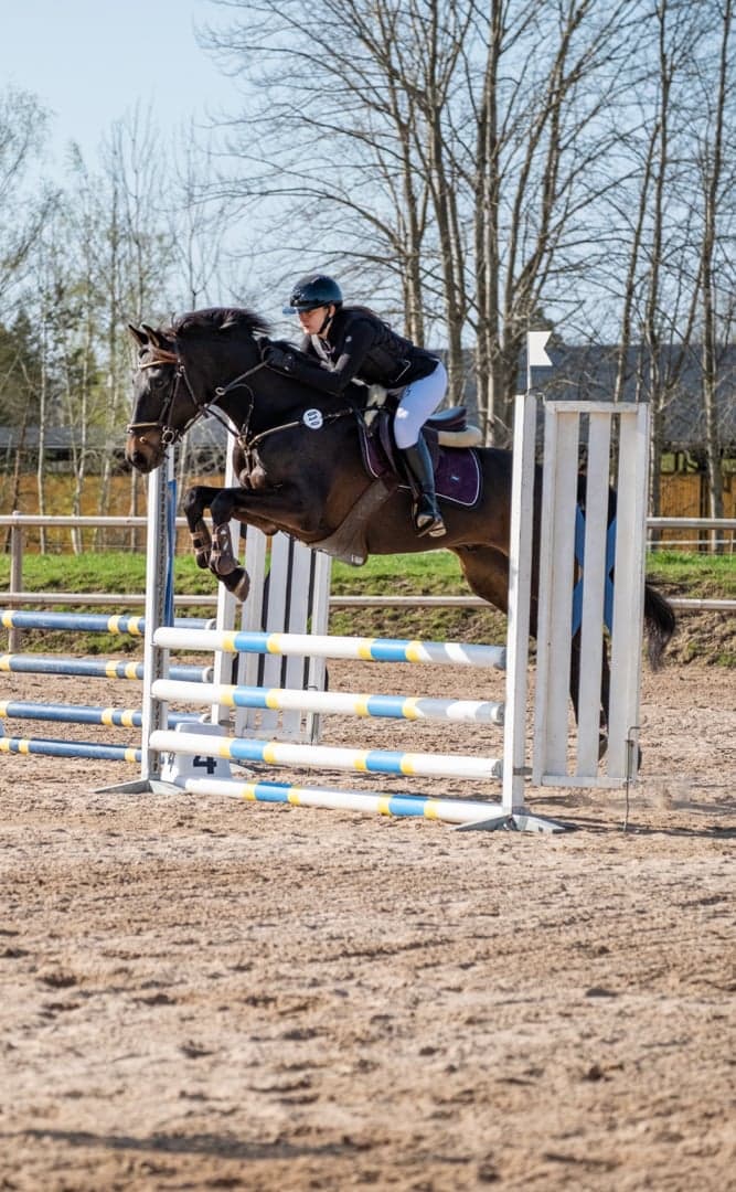 Bild 3 av Premier Royal Sport