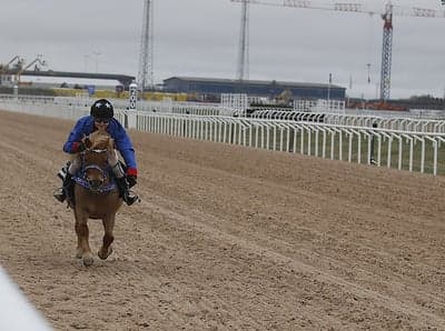 Ponnygalopp 