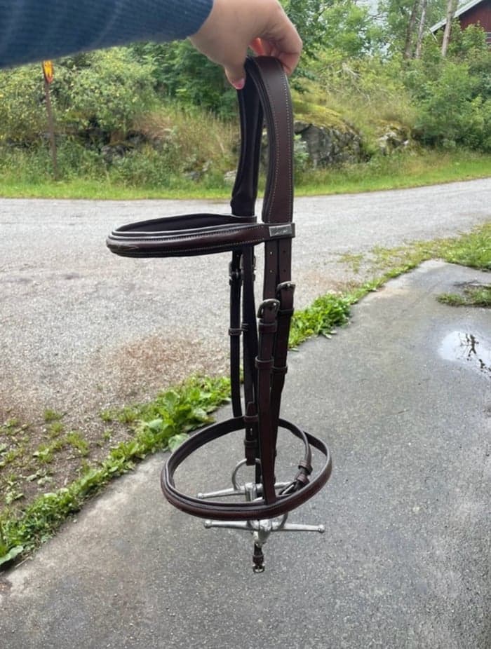 Media 1 of Brunt träns