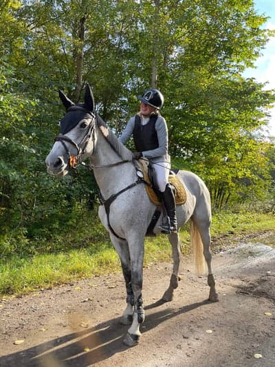 Inlägg 71 av Allround