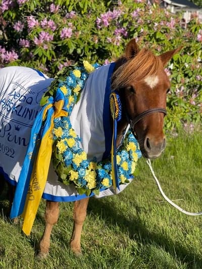 Tusens Gold-Etta M