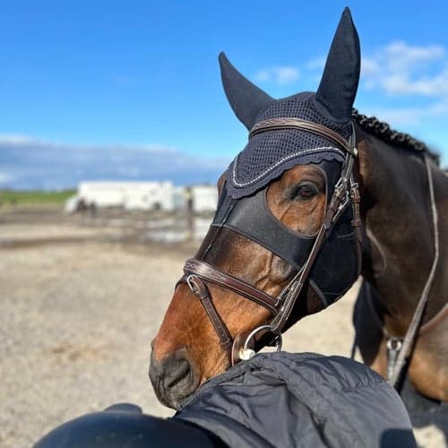 Profilbild av Ida Erbro