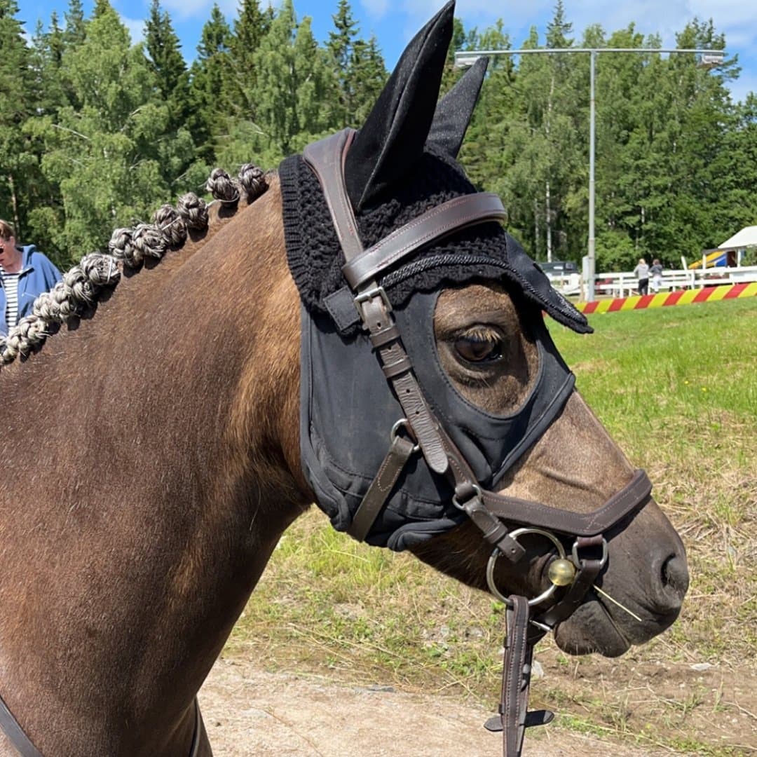 Image 1 of Euforiawinner of love