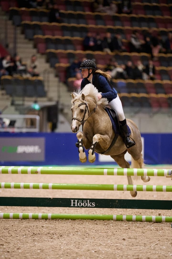 Bild 1 av Nexis Lendox