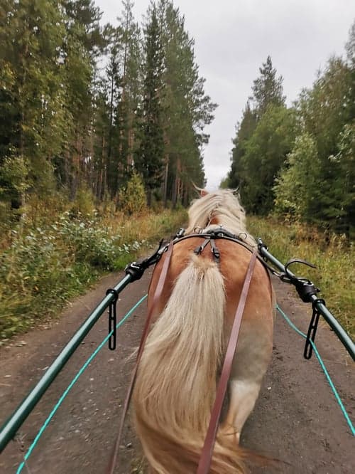 Bild av Trevlig kille 