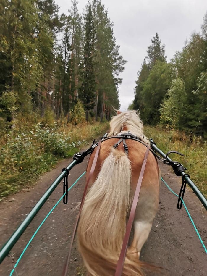 Media 7 av Trevlig kille 