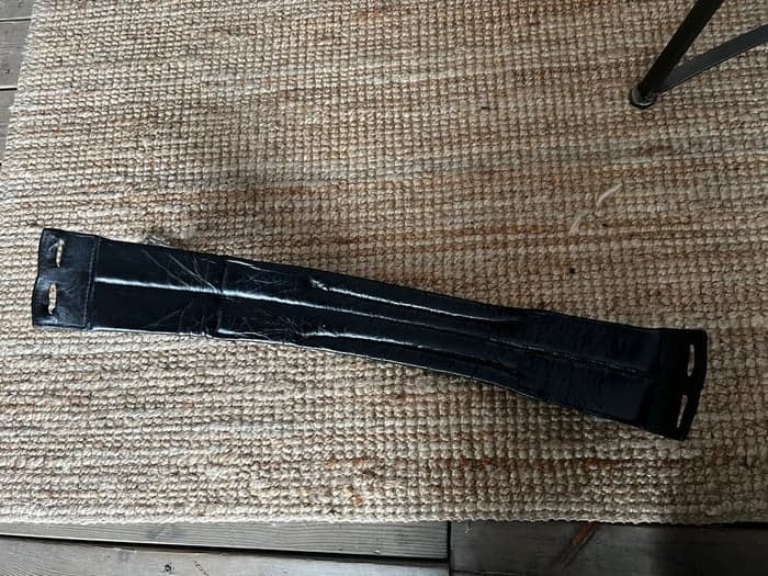 Media 2 av Dressyrgjord