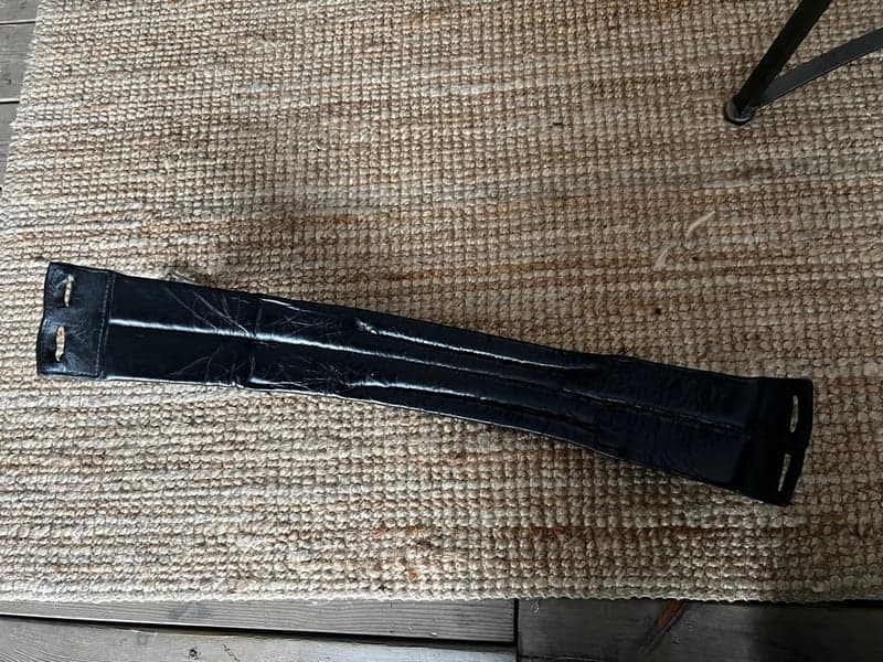 Bild 2 av Dressyrgjord