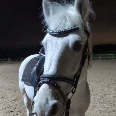 Shanvoher brave boy