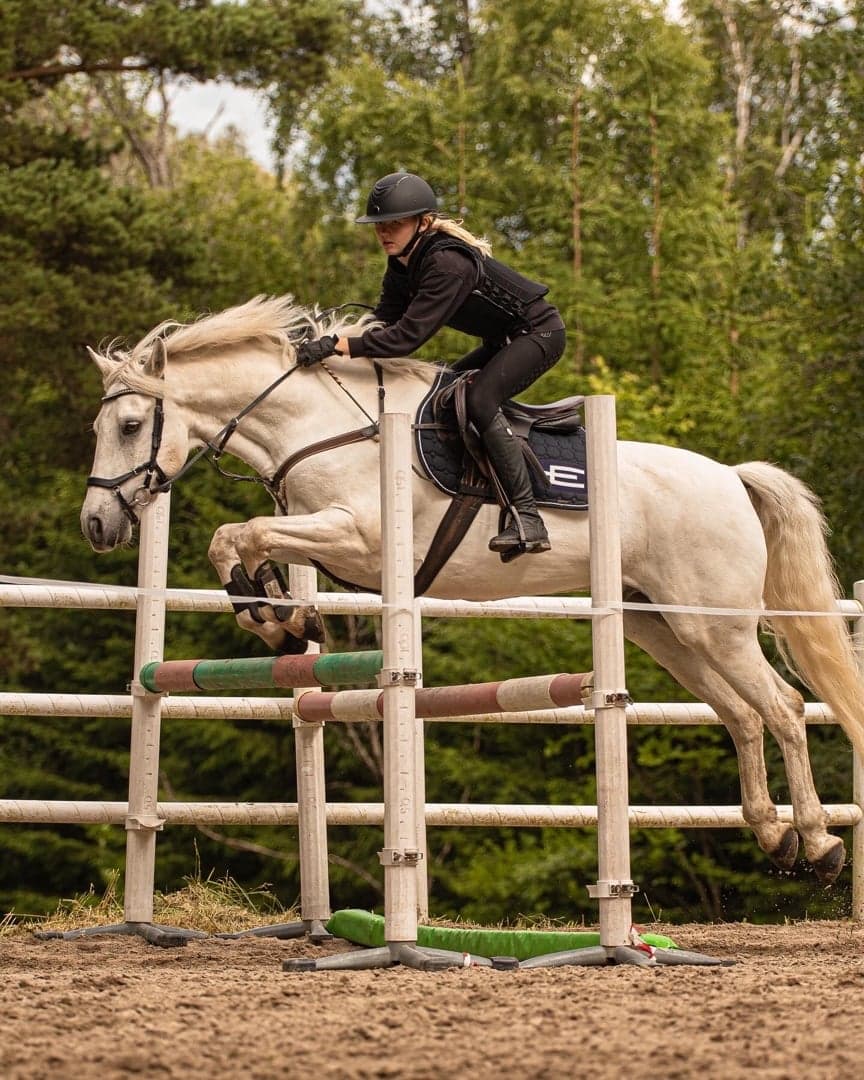 Image 1 of Hardy Den