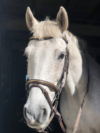 Inlägg 64 av Allround