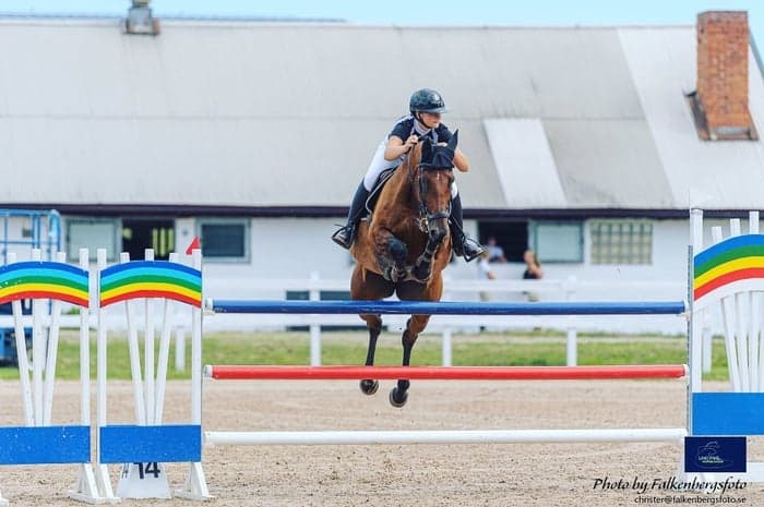 Media 2 av Uppsittning tävling (Catch-rider)