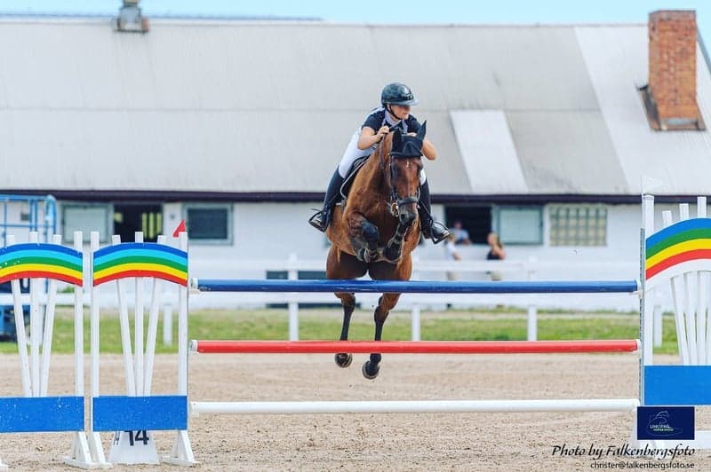 Bild 2 av Uppsittning tävling (Catch-rider)