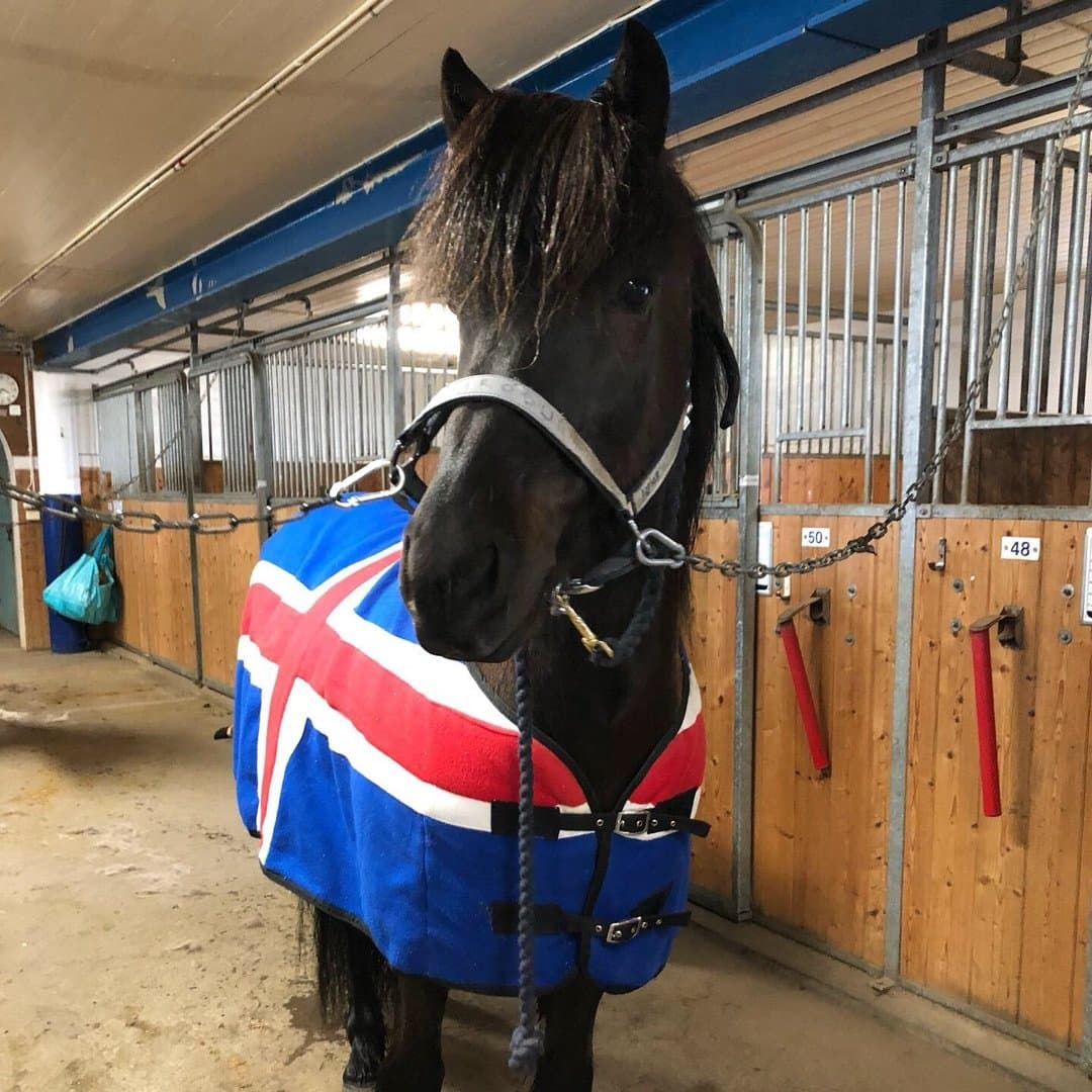 Bild 1 av Thóri från Vollum