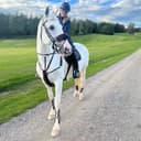Profilbild av Caitlin Felvus