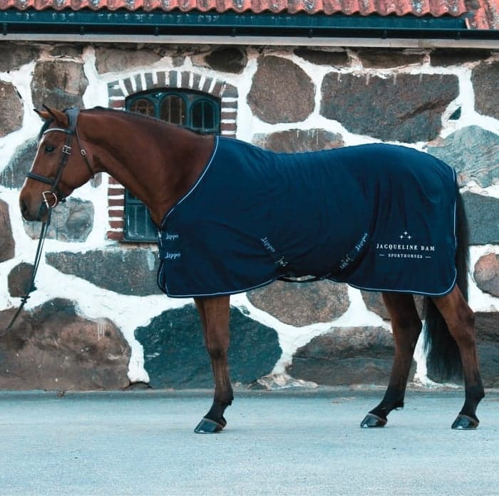 Media 2 av Professionell hjälp med försäljning av din häst