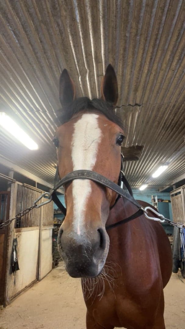 Media 1 of One tequila