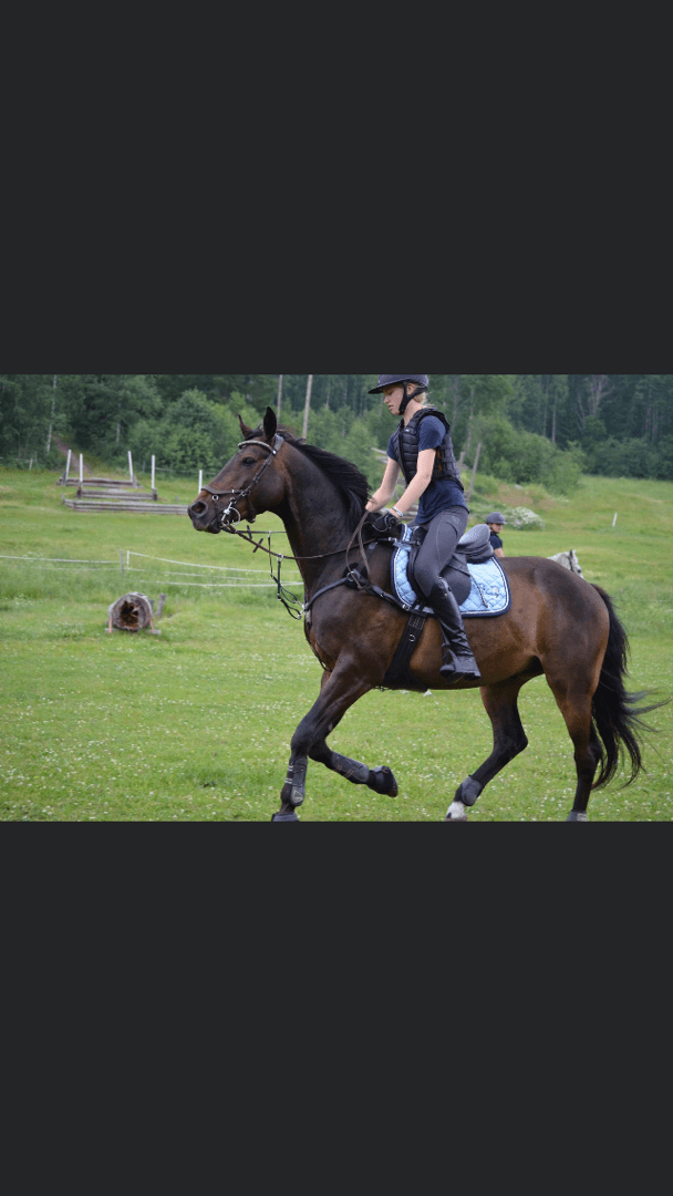 Bild 1 av placeholder text