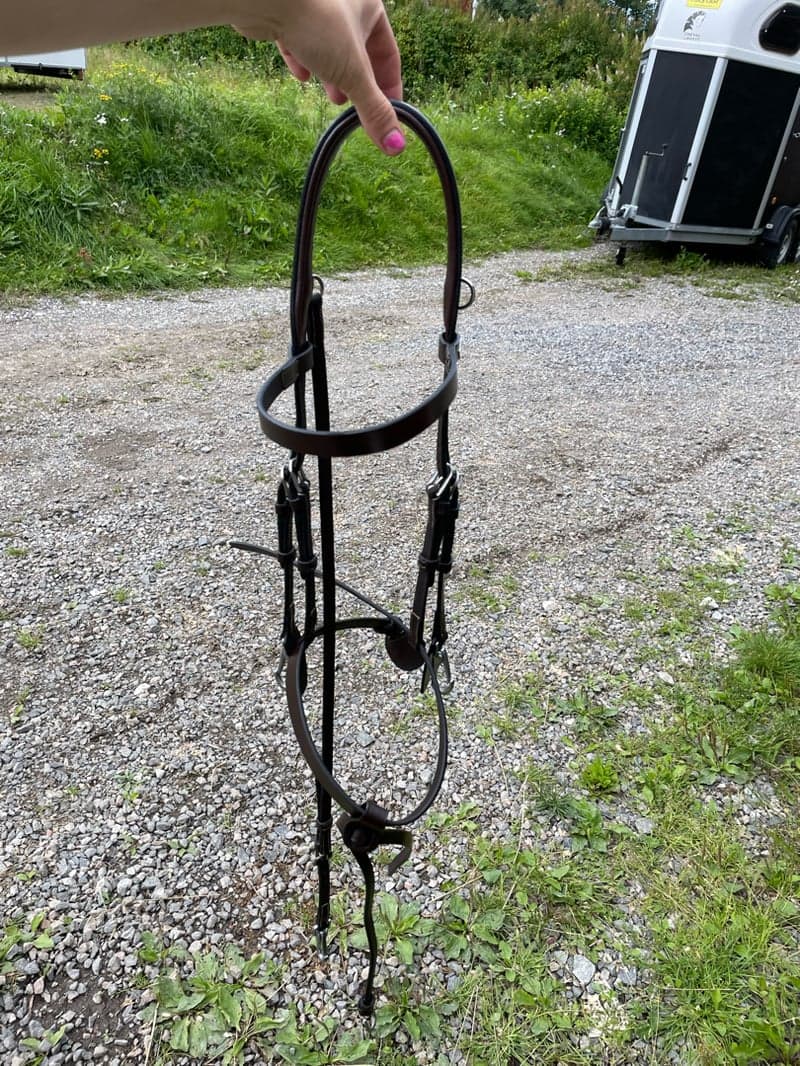 Bild 3 av Dyon träns