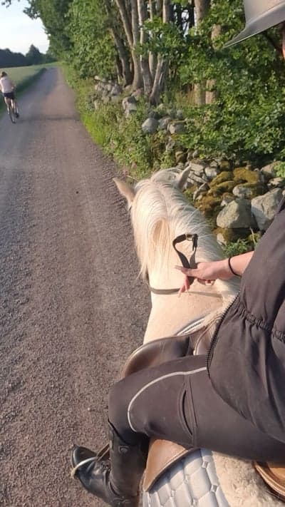 Post 6 of North Swedish Horse with title Uteritt me morsan