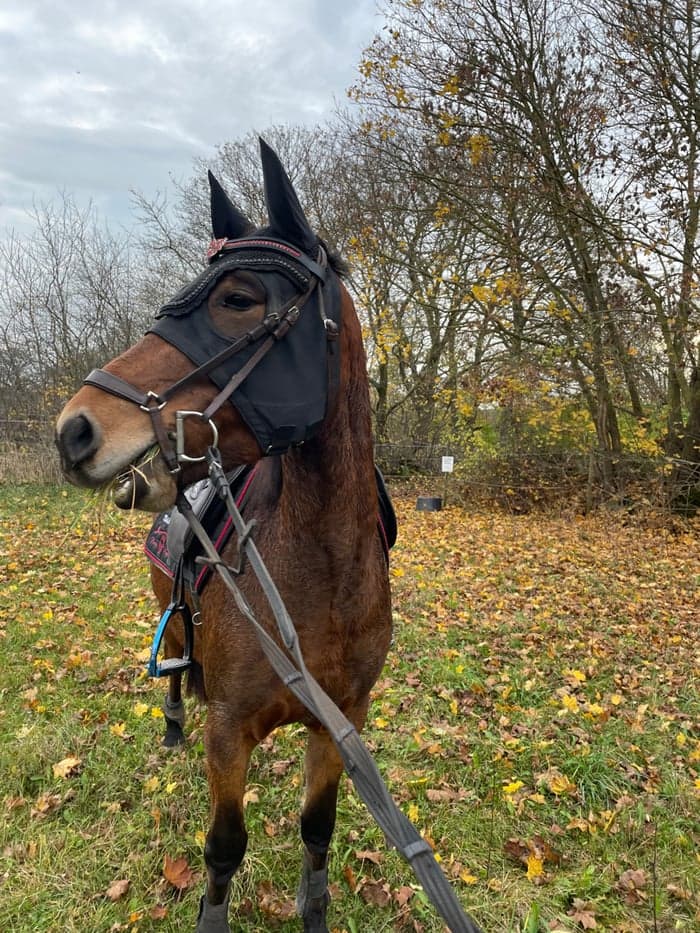 Media 1 av Check In Star