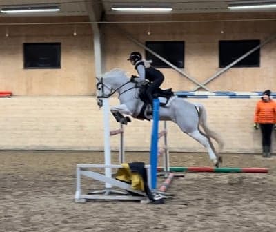 Inlägg 84 av Allround med titeln Träning