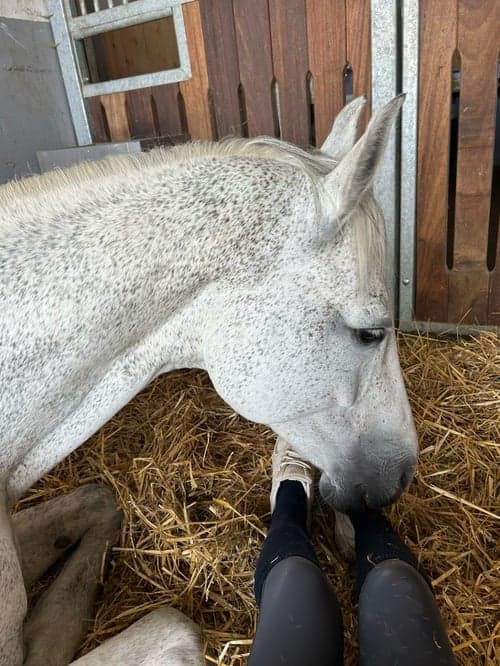 Bild av Snäll läro mästare ✨