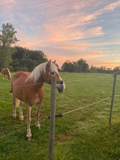 Inlägg 16 av Hunting