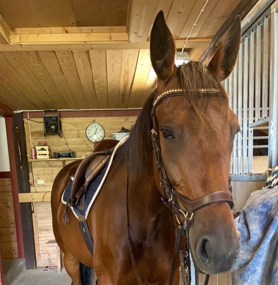 Bild 1 av Watering Can