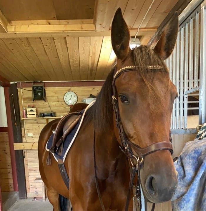 Media 1 av Watering Can