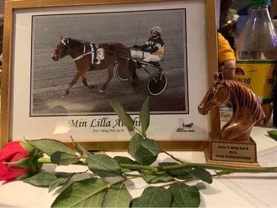 Inlägg 44 av Trav med titeln Ponnytravgala 
