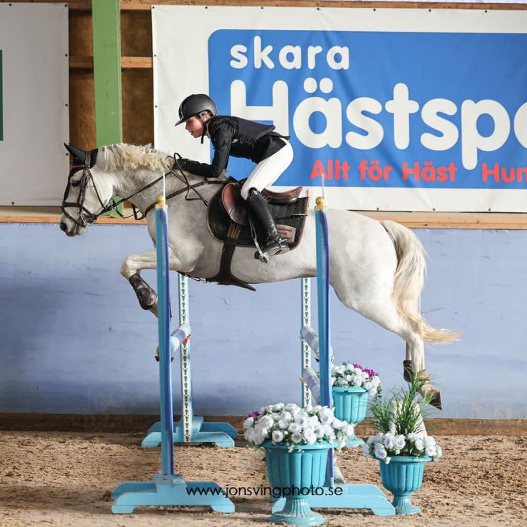 Bild 1 av placeholder text
