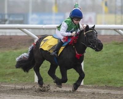 Inlägg 25 av Galopp med titeln Vinst på Jägersro 