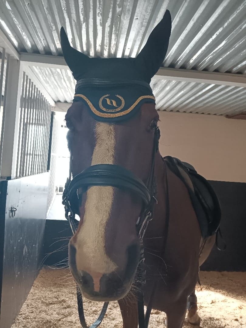 Bild 1 av Joie de Vivre