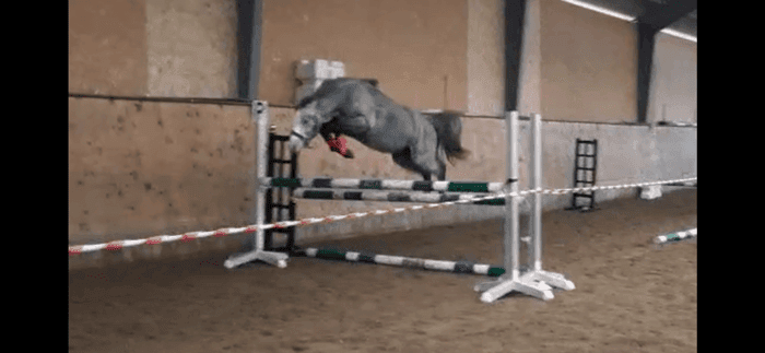 Media 2 av Bjärbys Bläs