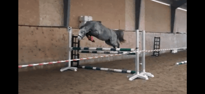 Bild 2 av Bjärbys Bläs