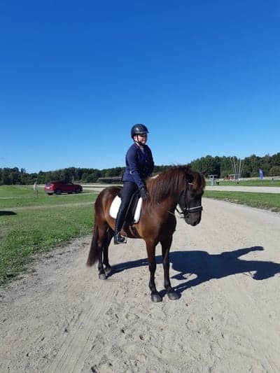 Seifur från gullerstorp