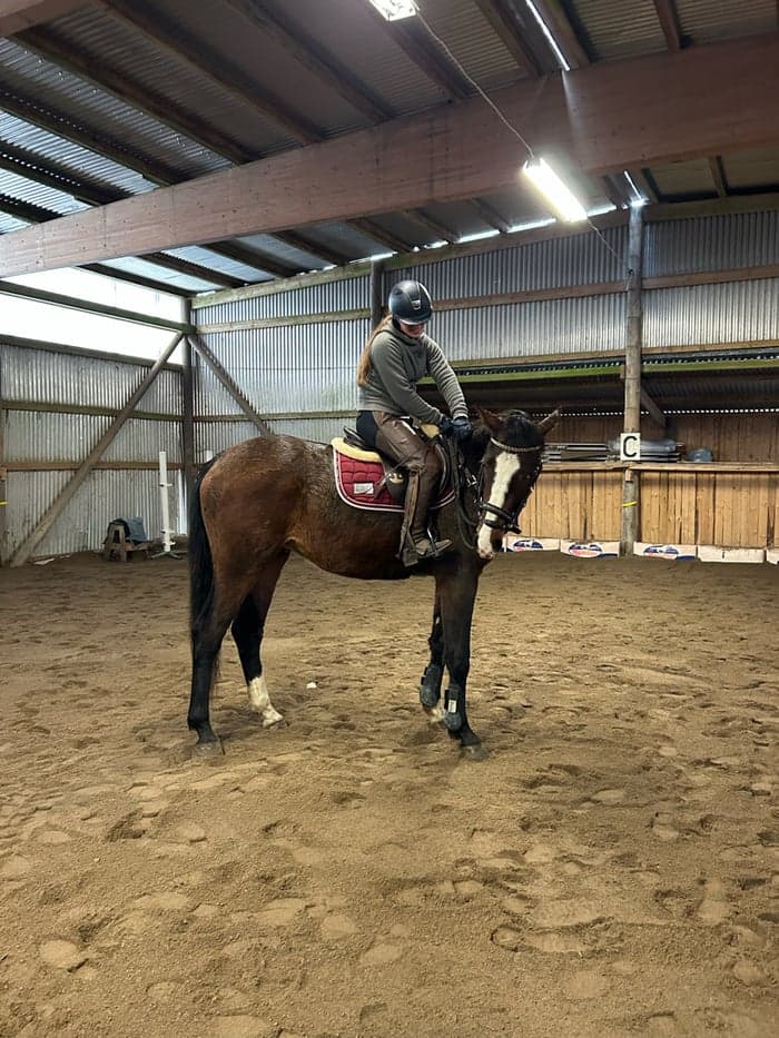 Media 4 av Querido de Casa