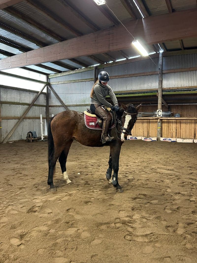 Bild 4 av Querido de Casa