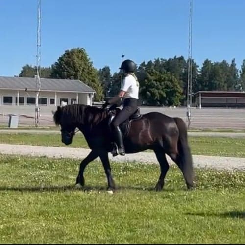 Profilbild av Lycka Ståhls