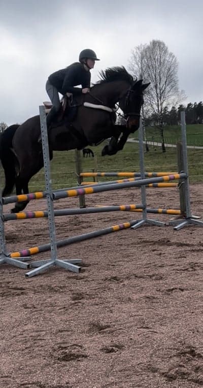 Inlägg 24 av Allround