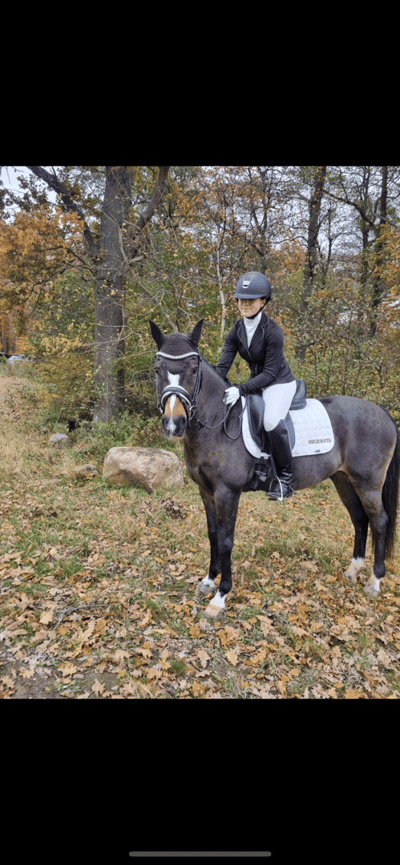 Inlägg 479 av Hoppning med titeln PB på 70% i Fei Lag❤️