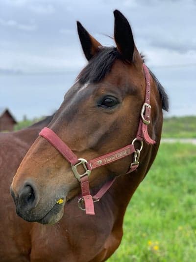 Inlägg 133 av Allround