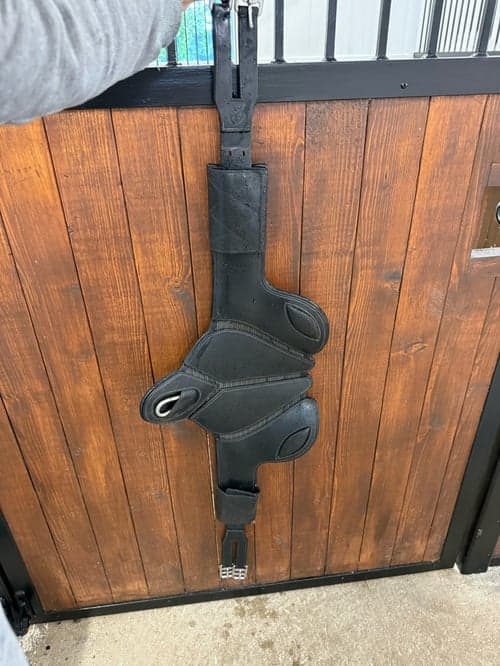 Bild av Svart sadelgjord 