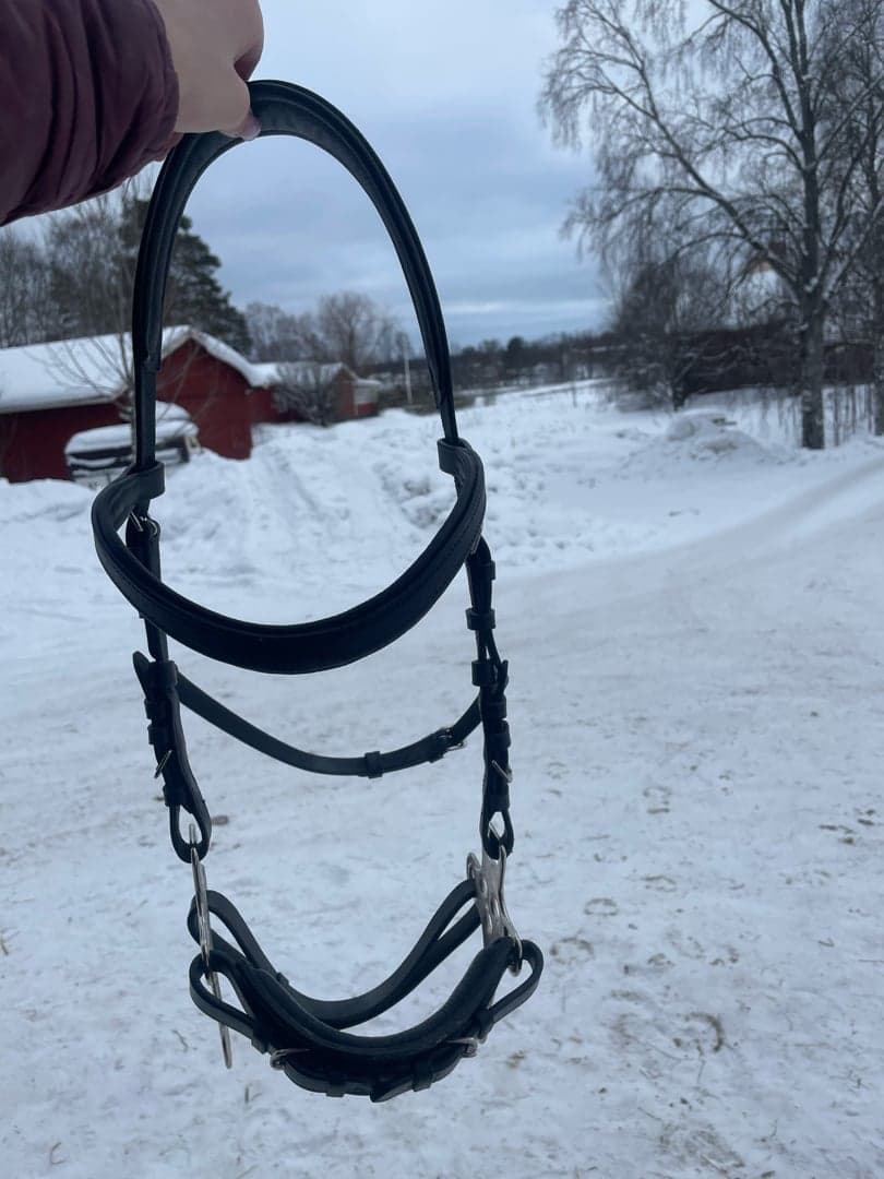 Bild 1 av Svart hackamore 