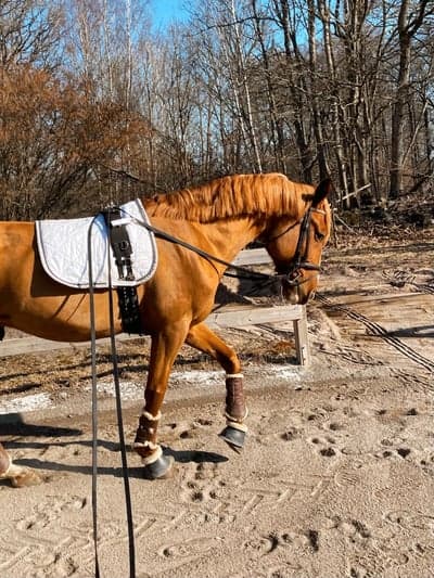 Inlägg 20 av Allround med titeln Tömkörning