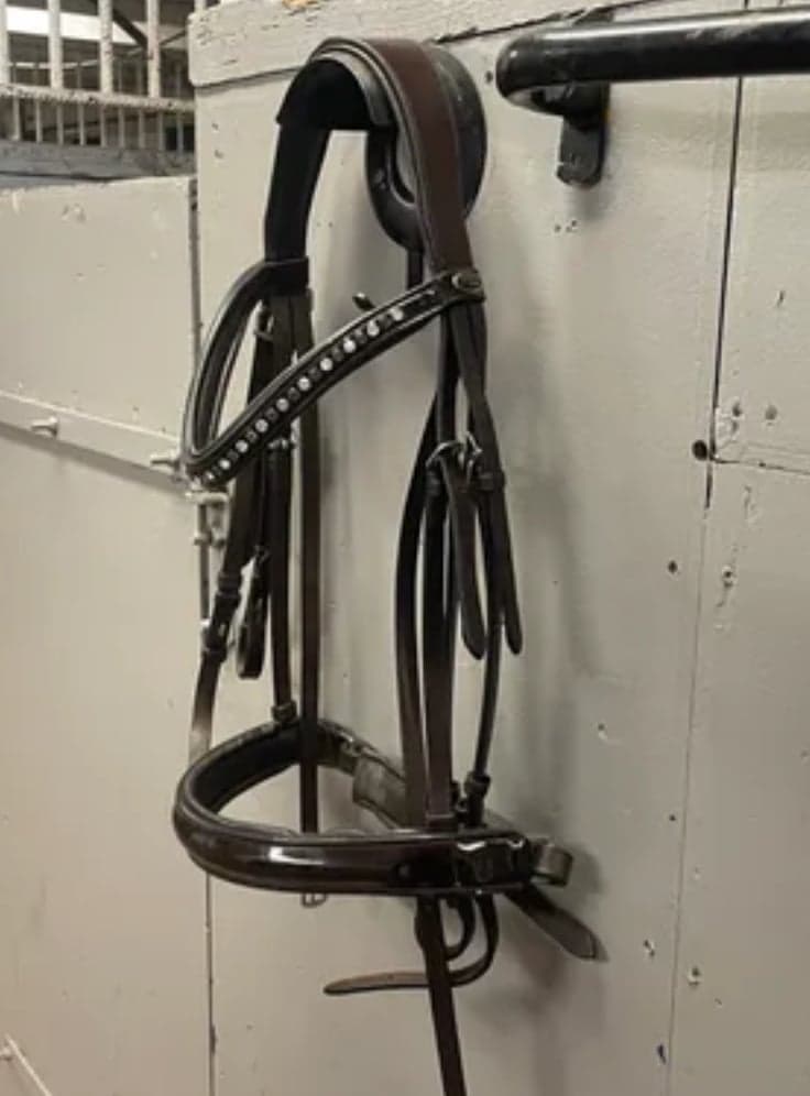 Bild 1 av Brunt kandar träns från globus sport 