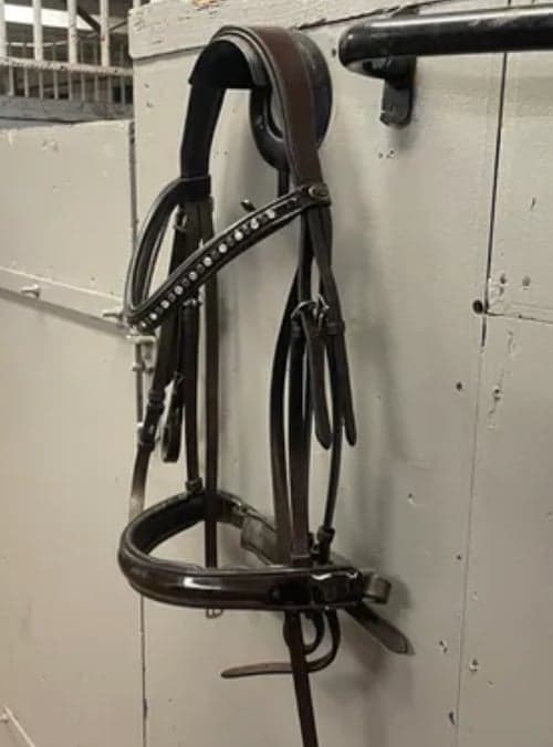 Bild av Brunt kandar träns från globus sport 